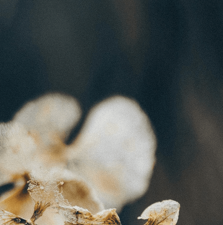 Ansiedad y regulación emocional