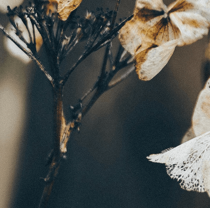 Crecimiento personal
y relaciones sanas